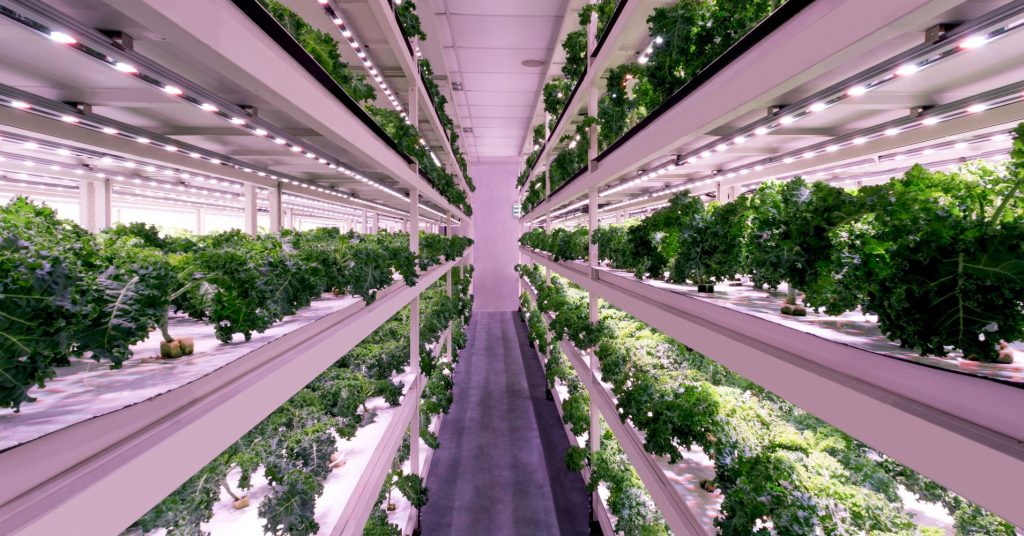 Vertical farm