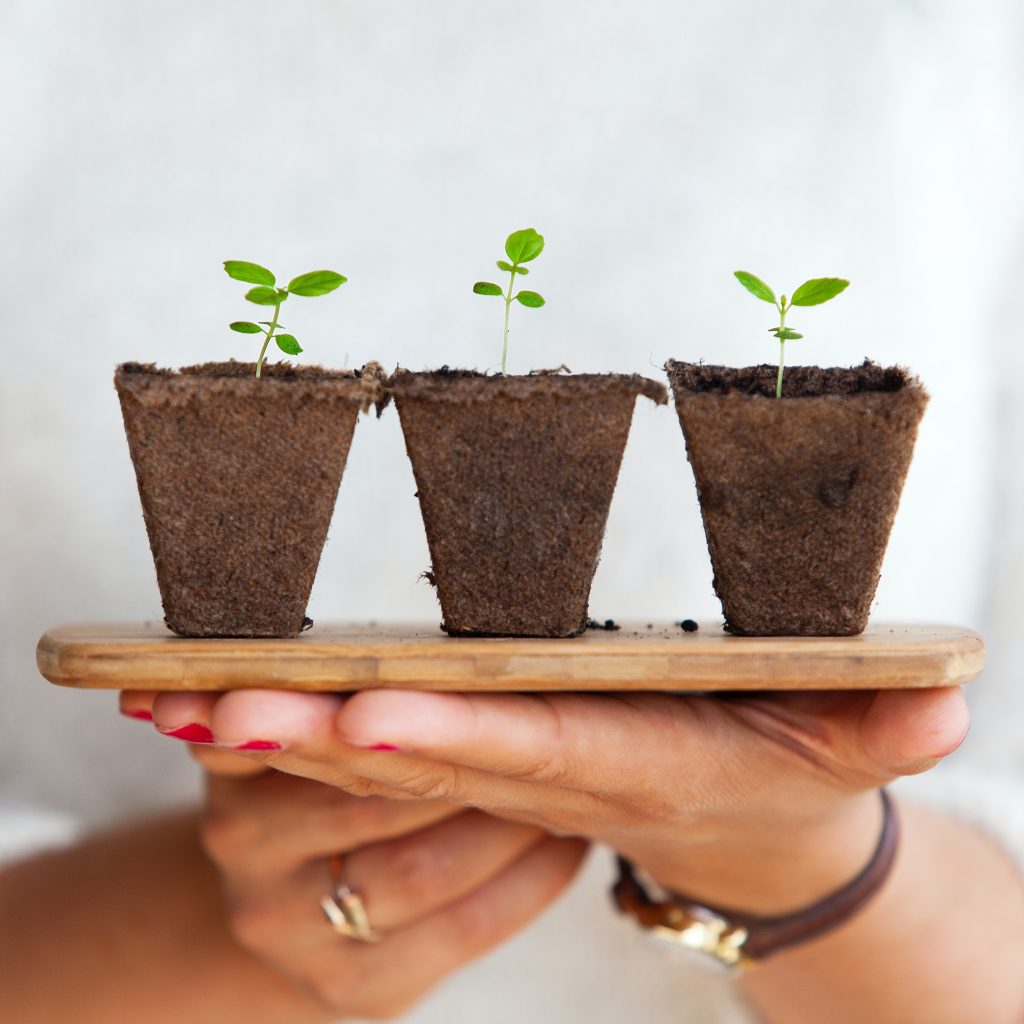 Controlled Environment Agriculture